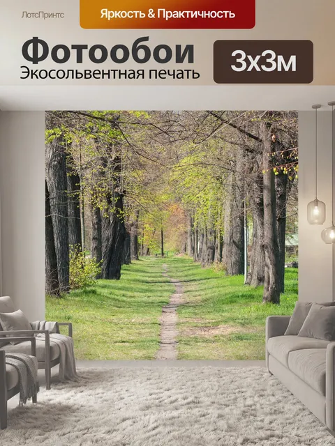 Фотообои Дорожка