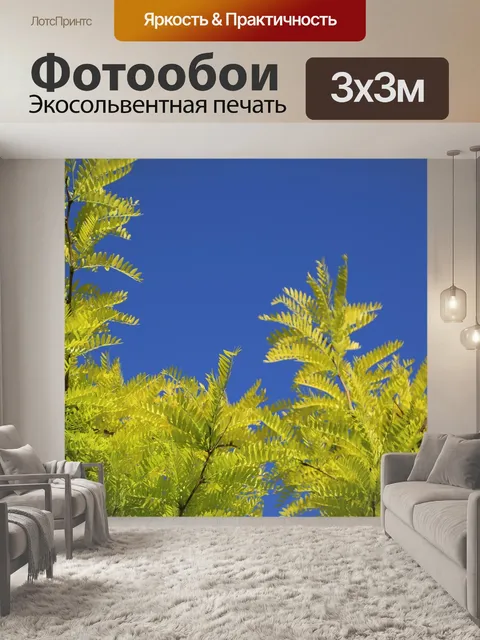 Фотообои Дерево