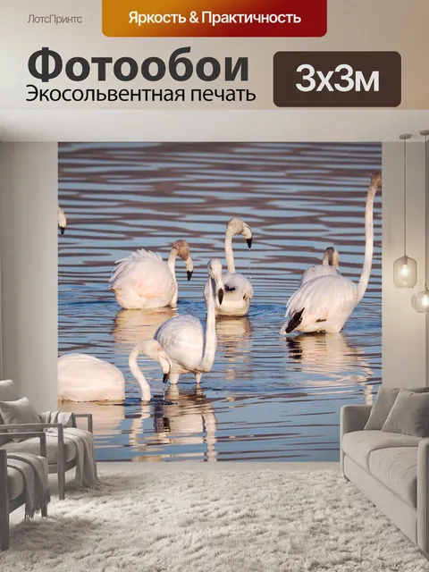 Фотообои Фламинго