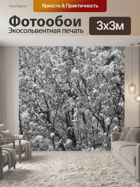 Фотообои Дерево текстуры V