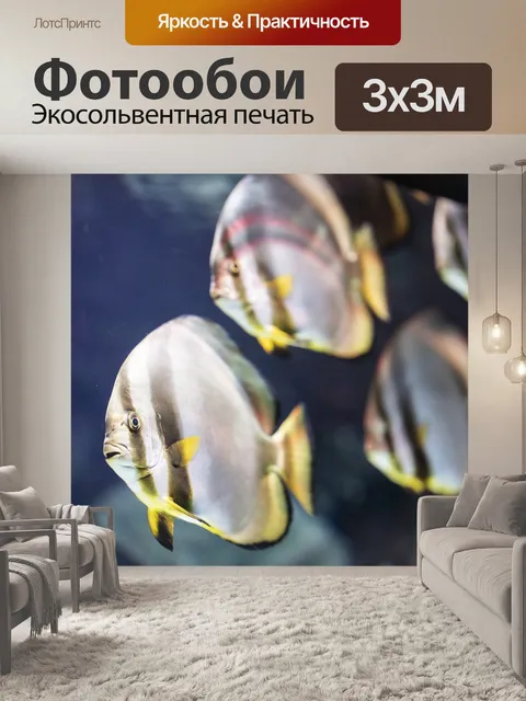 Фотообои Рыба