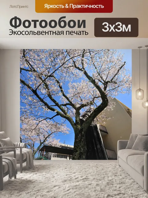 Фотообои Вишневое дерево