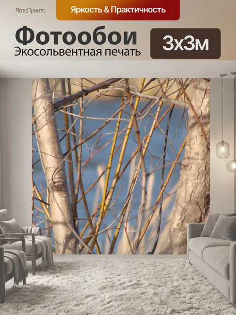 Фотообои Дерево