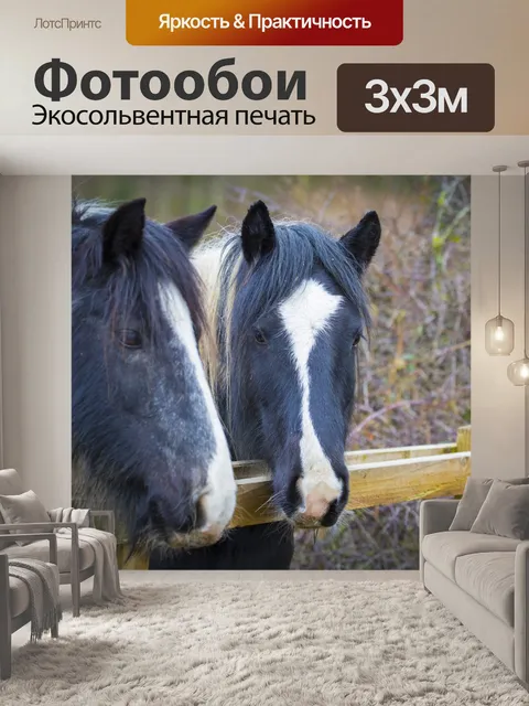 Фотообои лошадь