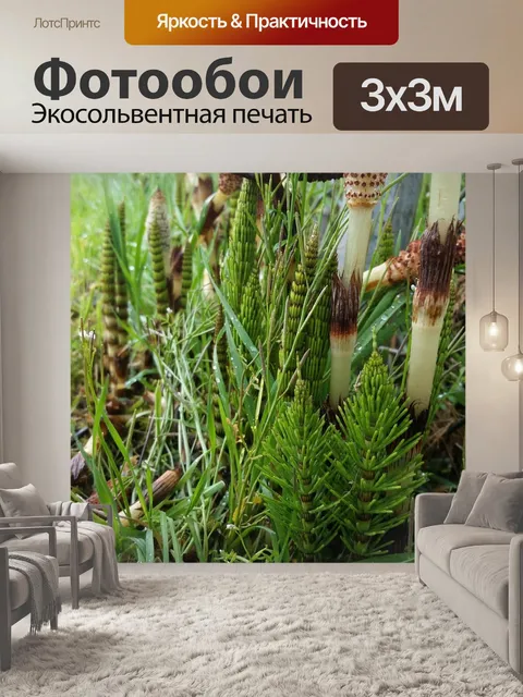 Фотообои Флора