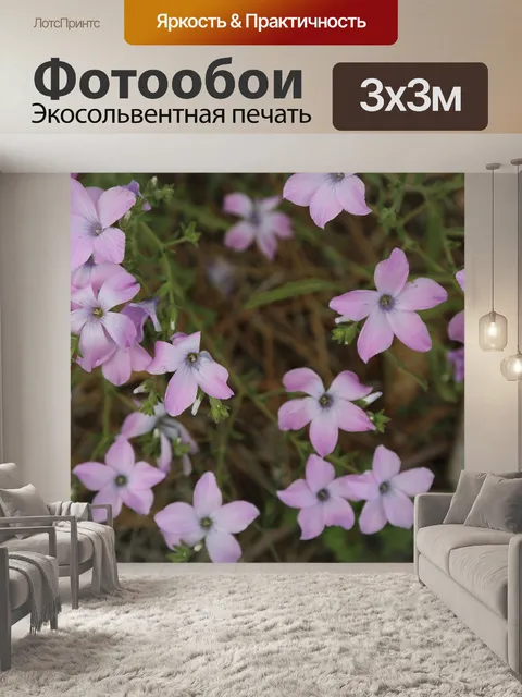 Фотообои Цветок