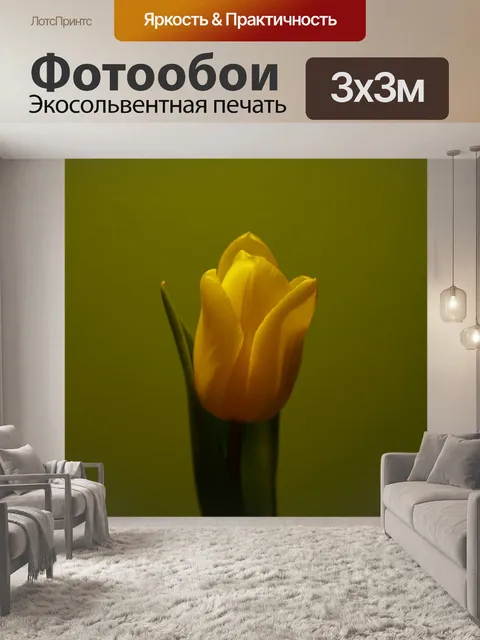 Фотообои Цветок
