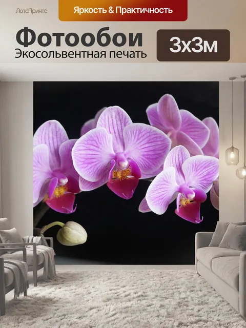 Фотообои Орхидеи