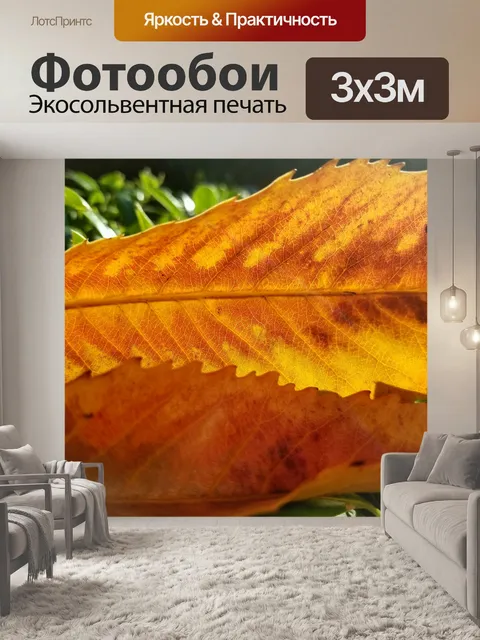Фотообои Оранжевые листья листьев