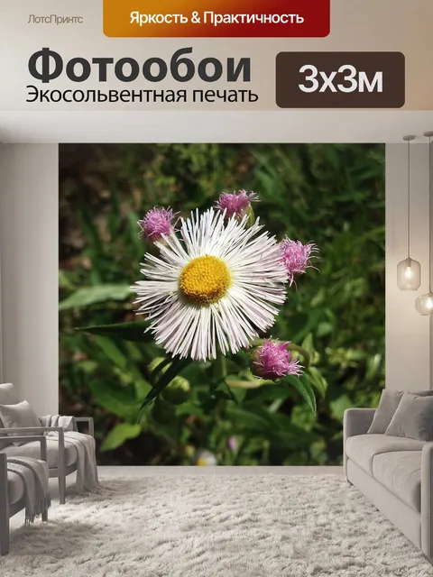 Фотообои Цветок