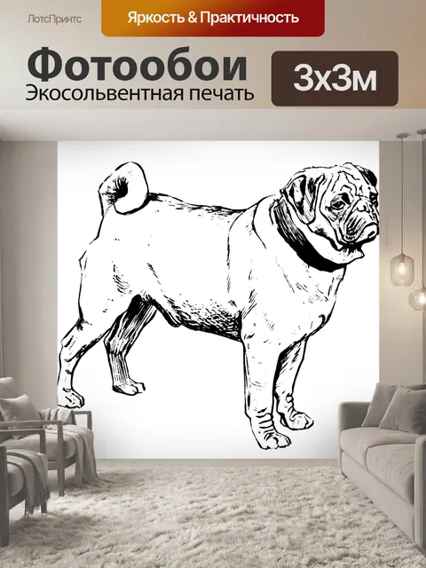 Фотообои Иллюстрация мопса Клипарт