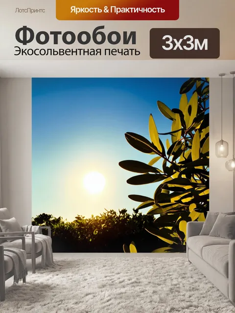Фотообои на утренем небе со свечением sun улыбка красуется; жирные оливковые листья создают впечатляющий пейзаж под…