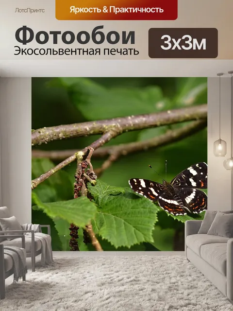 Фотообои Бабочка