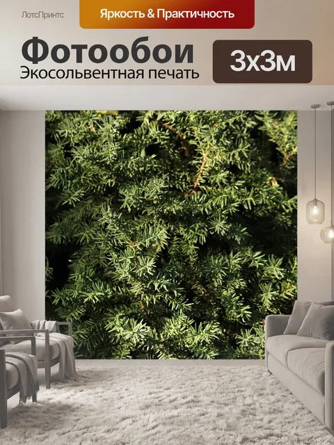 Фотообои Фон Evergreen Tree