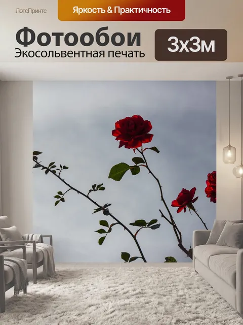Фотообои Розы