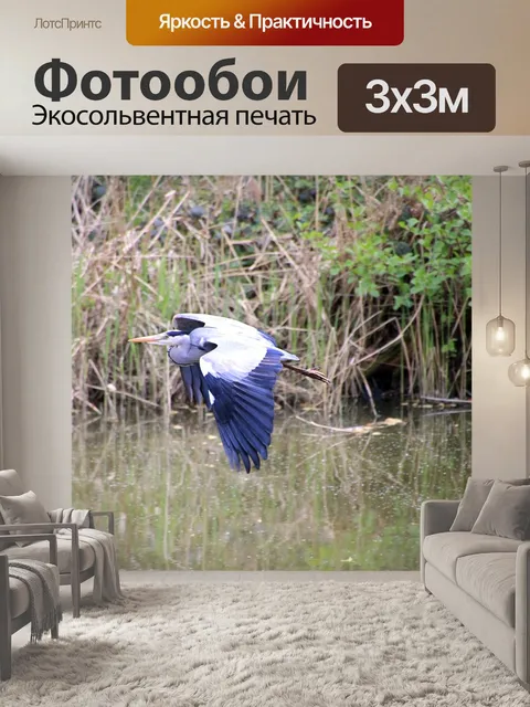 Фотообои Птица