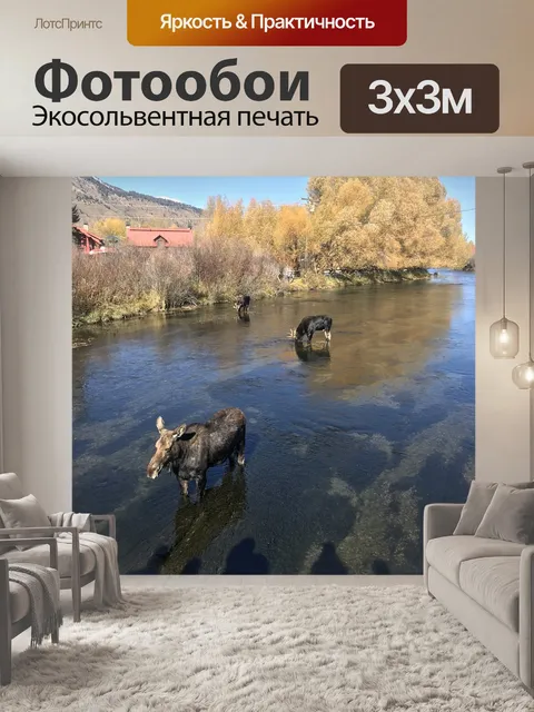 Фотообои Лось