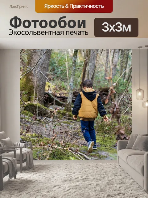 Фотообои Лес