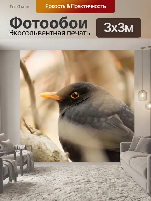 Фотообои Птица