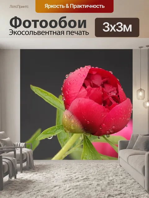 Фотообои Пион