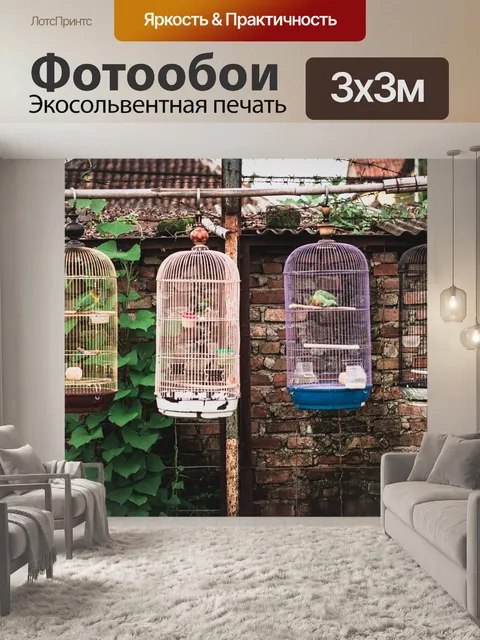 Фотообои Фильм