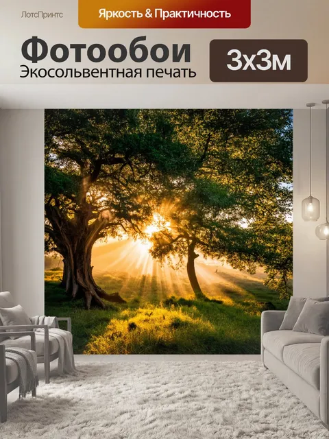Фотообои рассвет среди древних деревьев, где солнце играет своими лучами
