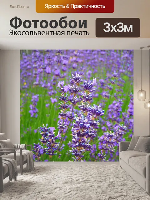 Фотообои Лаванда