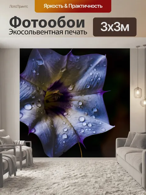 Фотообои Цветы
