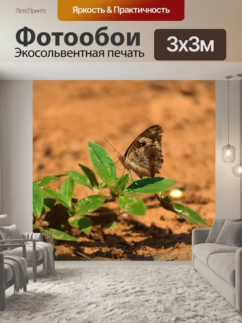 Фотообои Природа