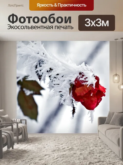 Фотообои Роза