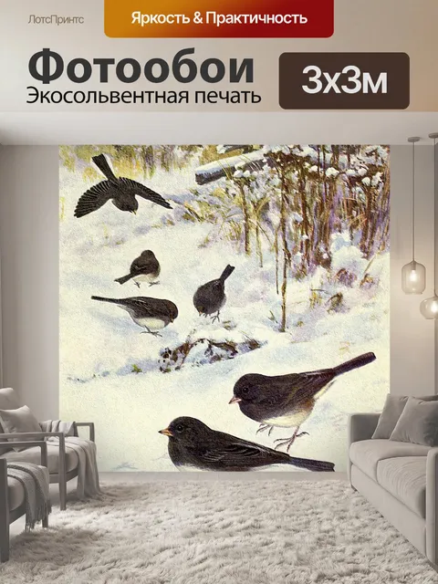 Фотообои Юнко Винтаж Птица Иллюстрация