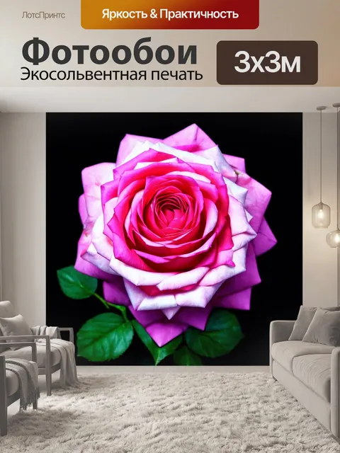 Фотообои розы с абстрактными формами и геометрическими узорами