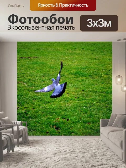 Фотообои Полет голубей