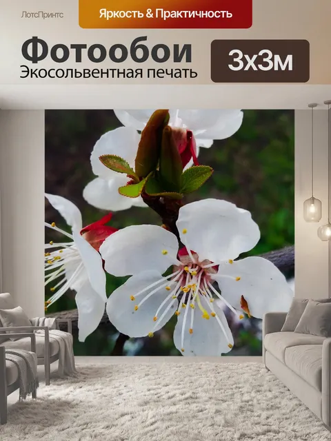 Фотообои Цвести
