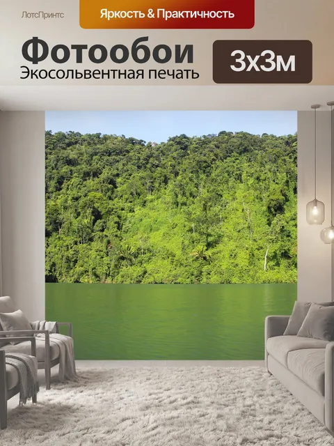 Фотообои Лес