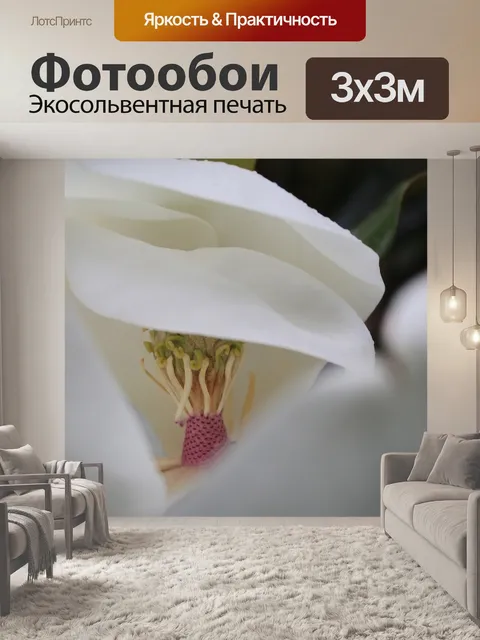 Фотообои Цветы