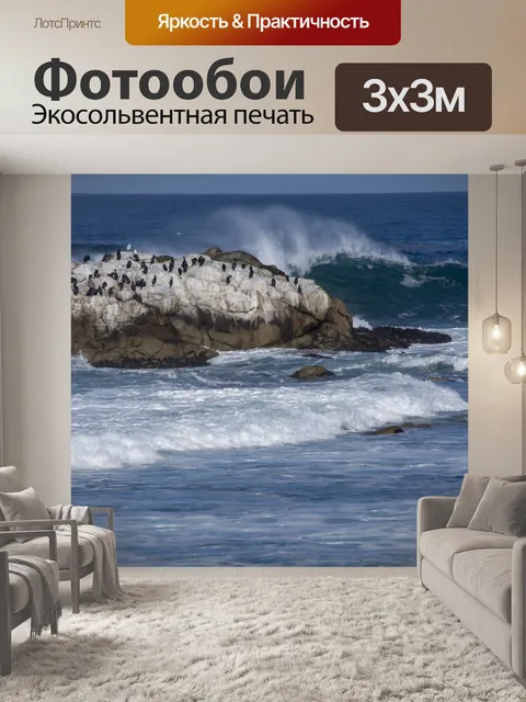 Фотообои Бакланы на валуне в море