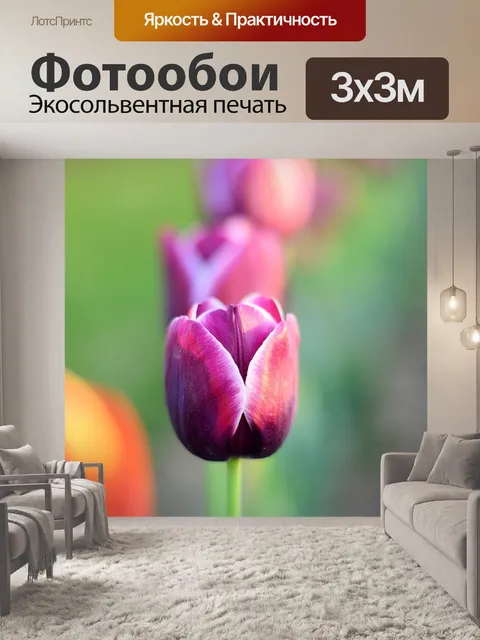 Фотообои Тюльпаны