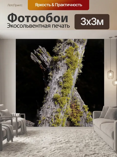 Фотообои Деталь