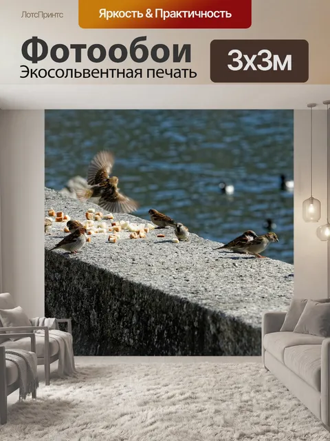 Фотообои Птицы