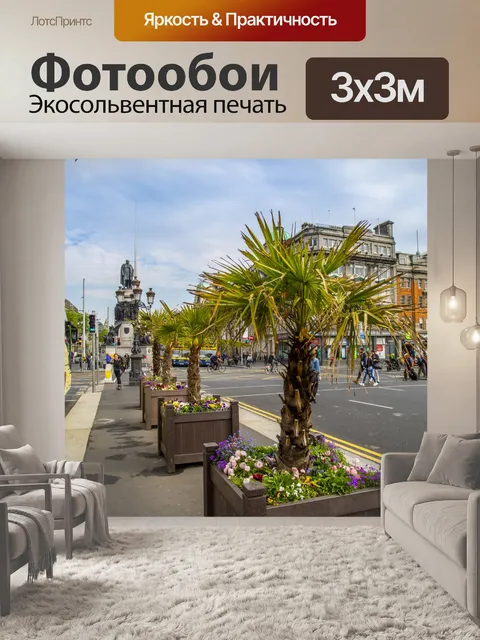 Фотообои Дублин
