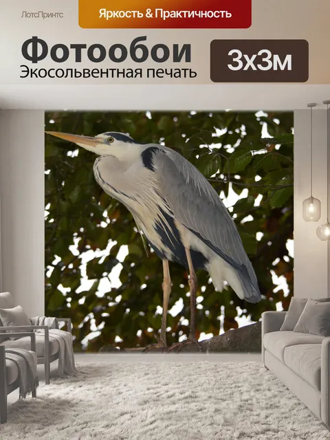 Фотообои Цапля 12