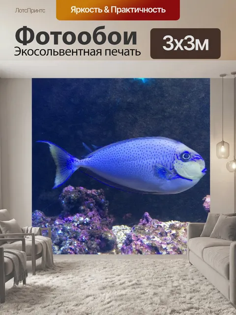 Фотообои В воде