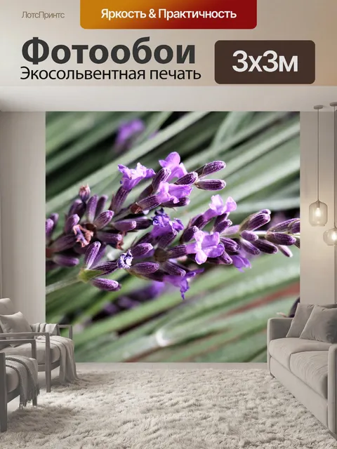 Фотообои Лаванда