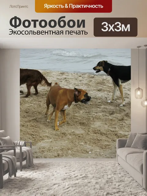 Фотообои Собаки