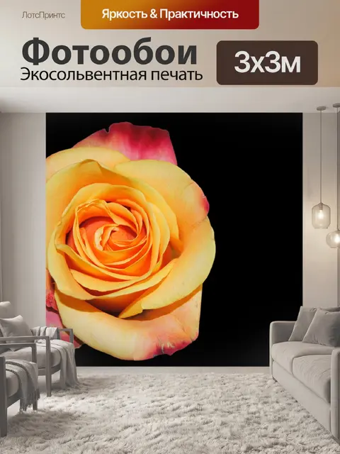 Фотообои Роза