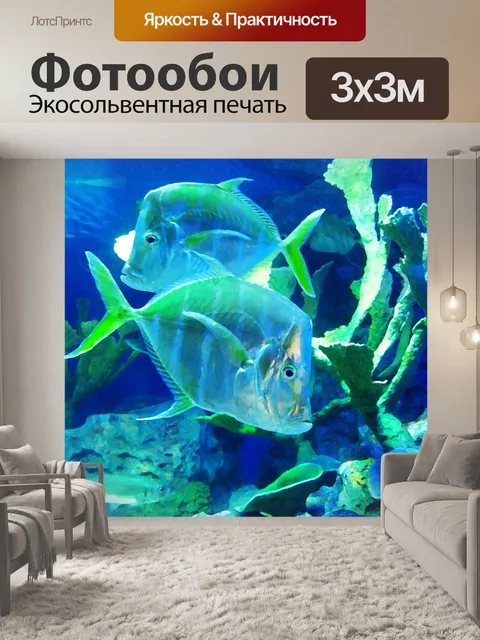 Фотообои Две рыбы в воде
