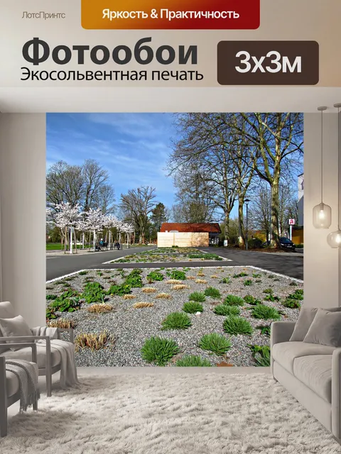 Фотообои Дерево