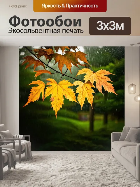Фотообои листья в дождевую погоду