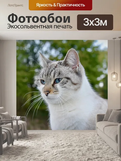 Фотообои Кошка